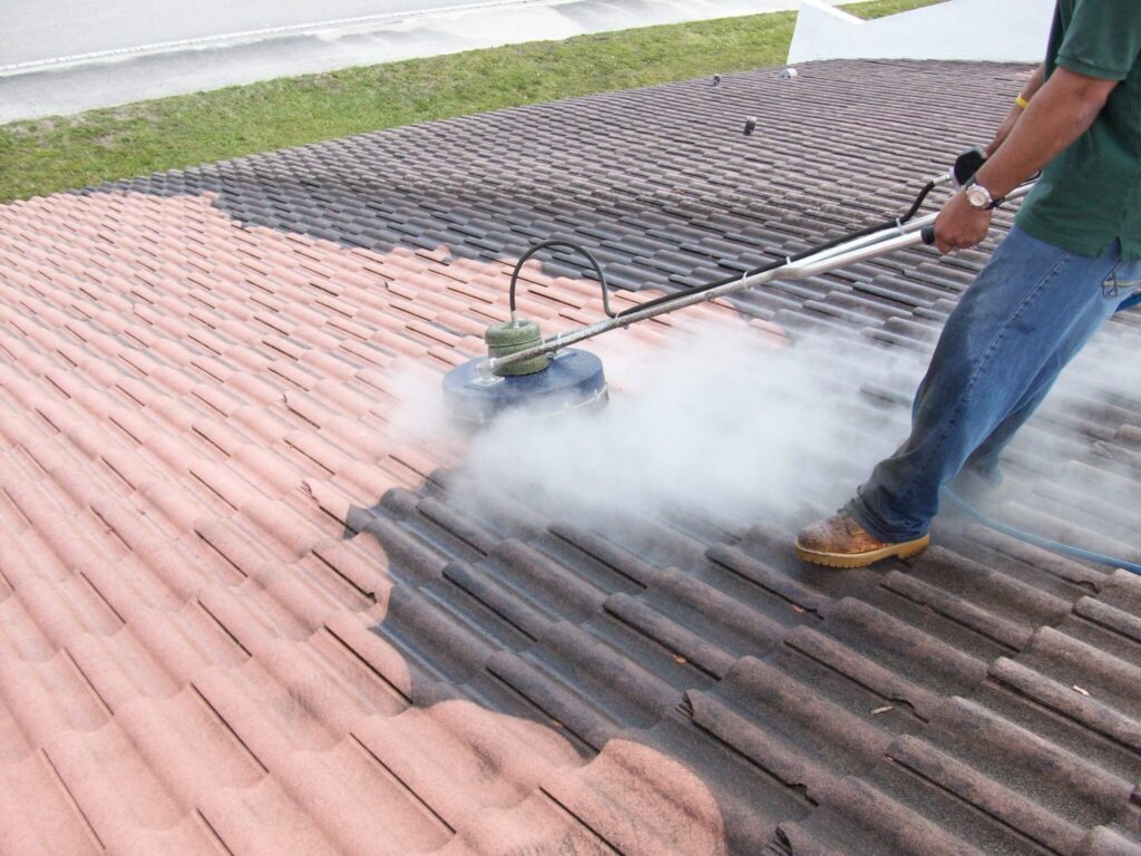 Roof Cleaning